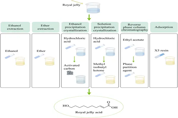How Royal Jelly Acid works How Royal Jelly Acid works