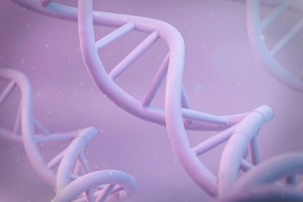 DNA Sodium salt DNA Sodium salt