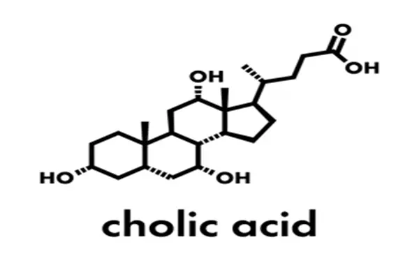 MF of Cholic acid MF of Cholic acid