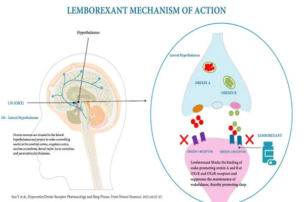 The working mechanism of Lemborexant API The working mechanism of Lemborexant API