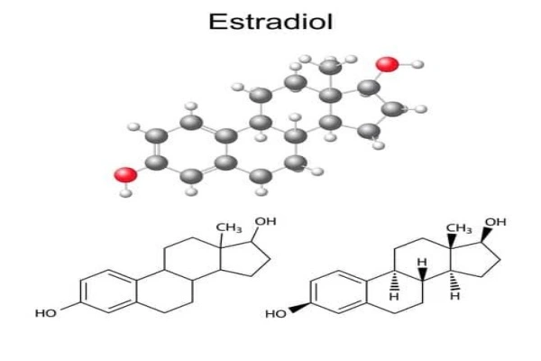 MF of Estradiol