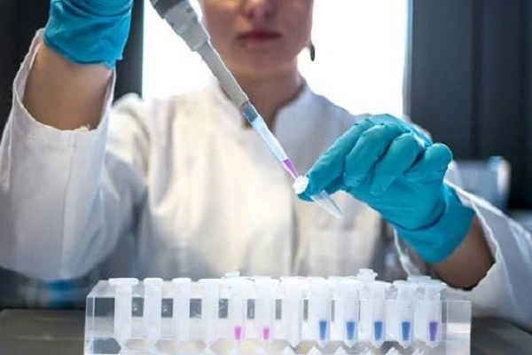 Dibenzoylmethane Powder Research