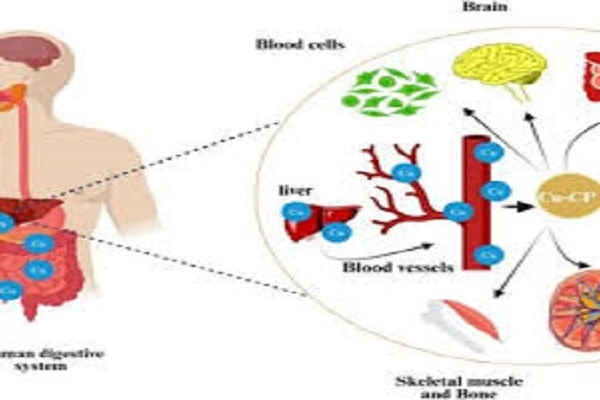 Emeramide Emeramide