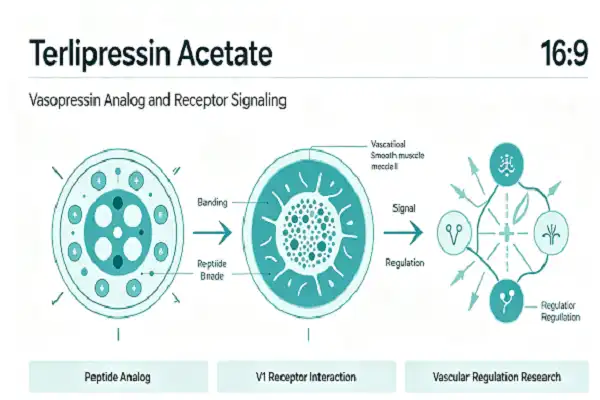 terlipressin acetate terlipressin acetate