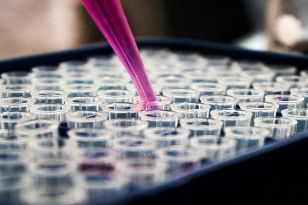 Peptide Cagrilintide research