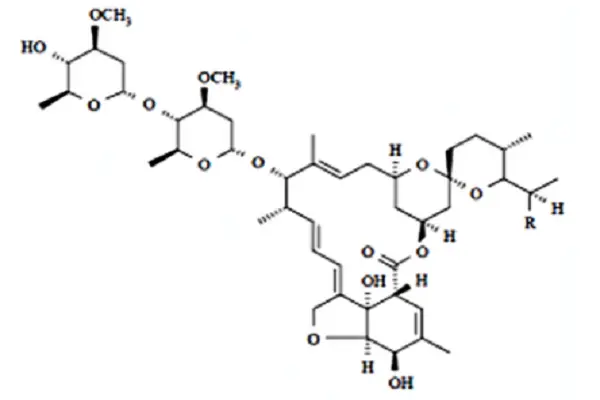 MF of SH Oligopeptide-78
