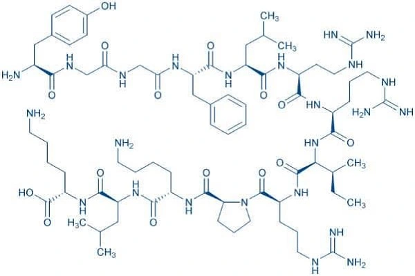 MF OF Dynorphin A (1-13) MF OF Dynorphin A (1-13)